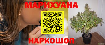 прущие грибы Баксан
