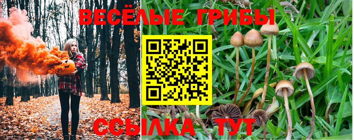 Псилоцибиновые грибы мухоморы Борзя