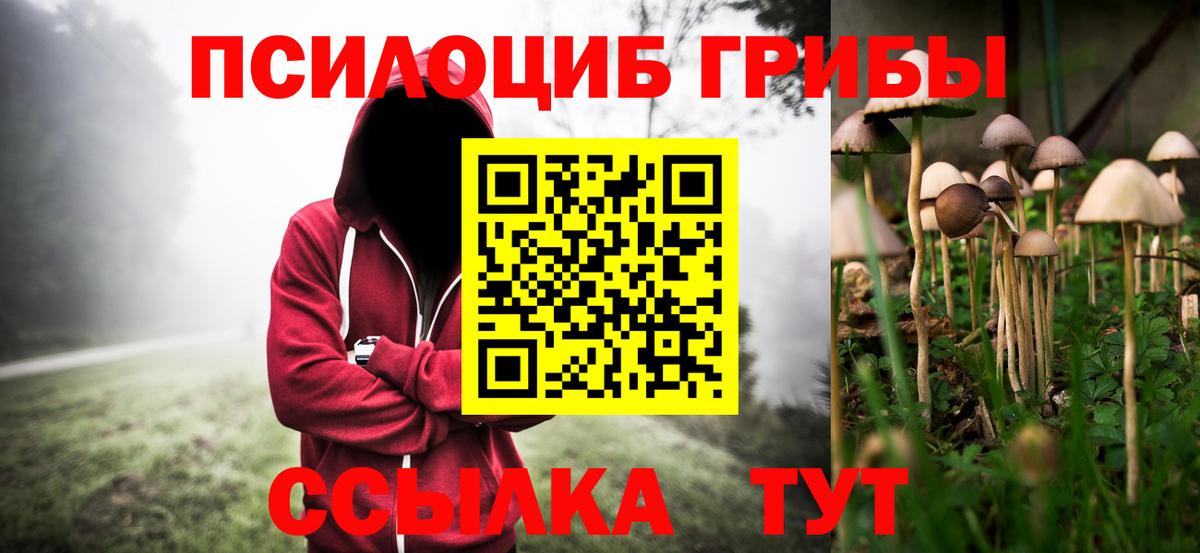 Псилоцибиновые грибы мухоморы  Вход с VPN  купить наркоту  Борзя 